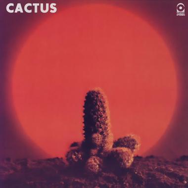 Cactus -  Cactus